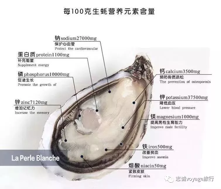 法国生蚝抢鲜购!看白葡萄酒如何与生鲜佐餐